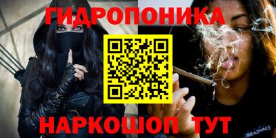 гашик Ставрополь