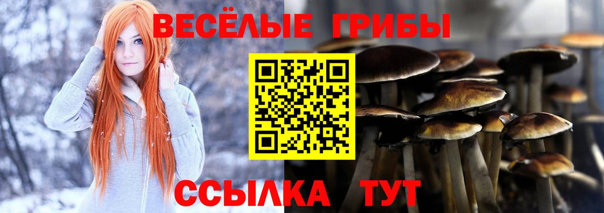 Топки  Псилоцибиновые грибы MAGIC MUSHROOMS  Вход с VPN 